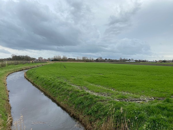 Medium property photo - Schotelweg, 4333 GS Middelburg